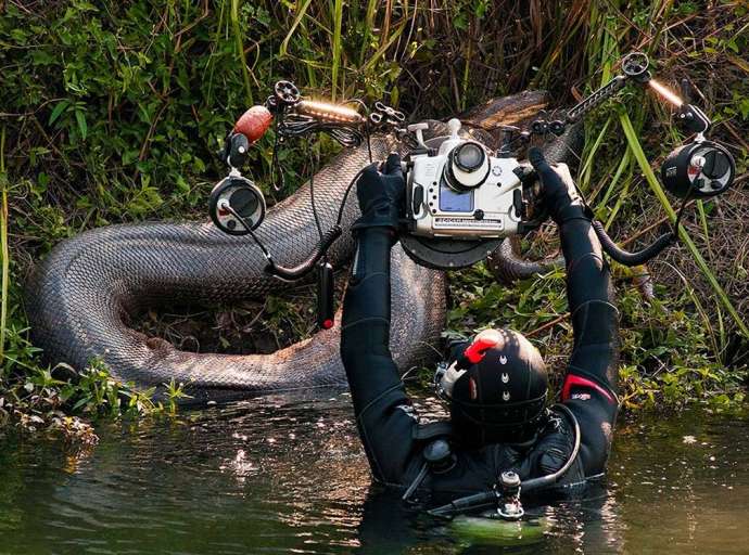 Fotógrafo suíço que fez imagens de sucuris gigantes fala da sensação de fotografar nos rios de MS