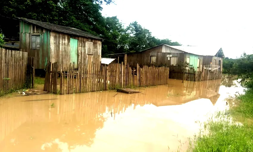 Quase 300 famílias já são atingidas pela enchente do Rio Envira, em Feijó