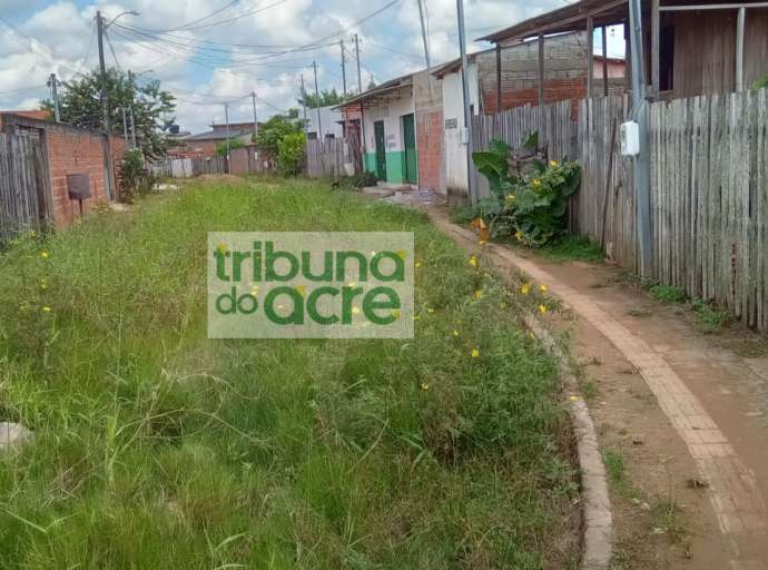 FOTOS: Filhote de gato é resgatado após cair em poço de 7 metros no sul da  Bahia, Bahia