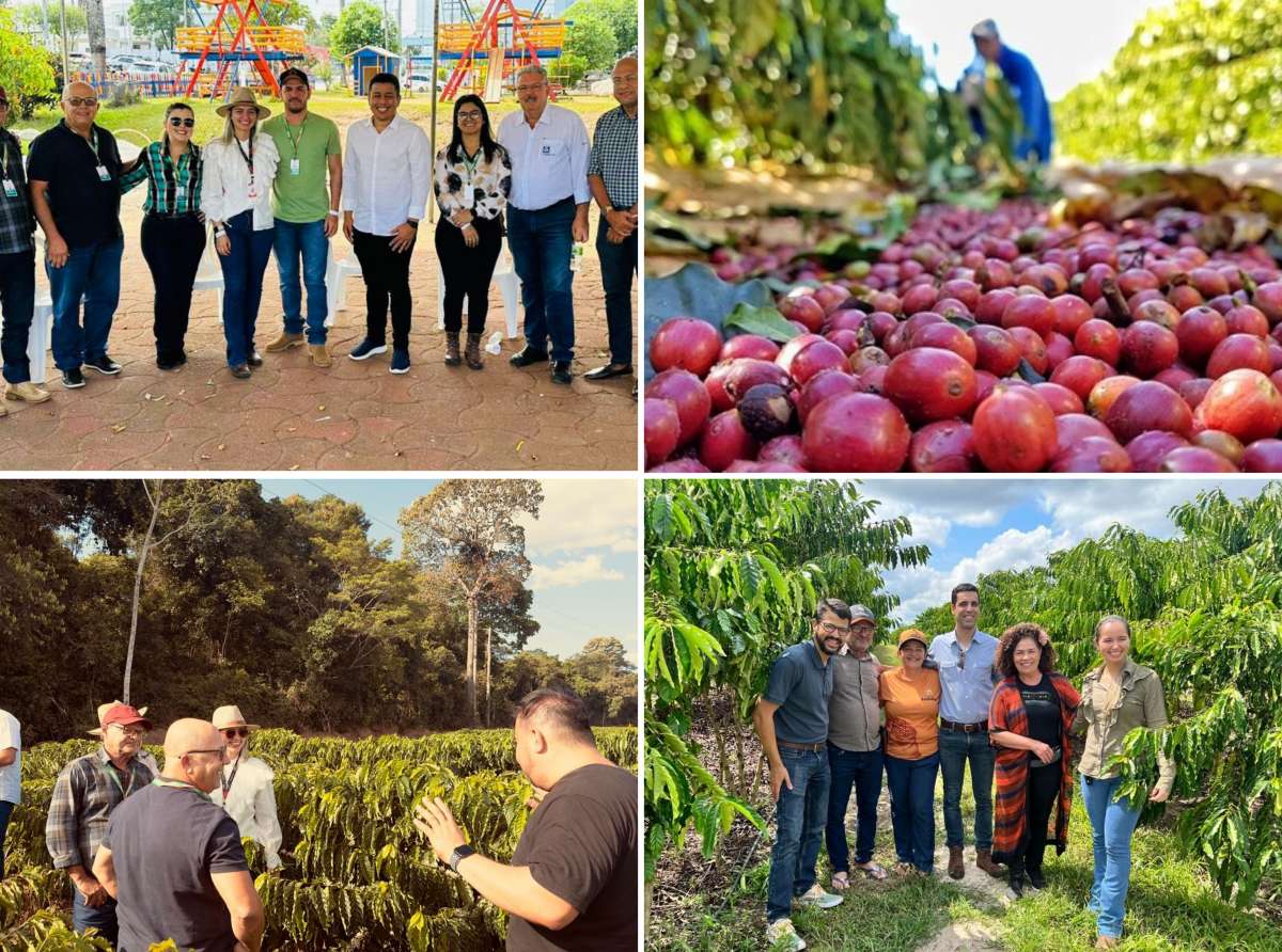 Produtores de café do Vale do Juruá conhecem experiências exitosas em Rondônia